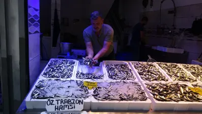 Karadeniz'de avı bollaştı, hamsi fiyatı düştü
