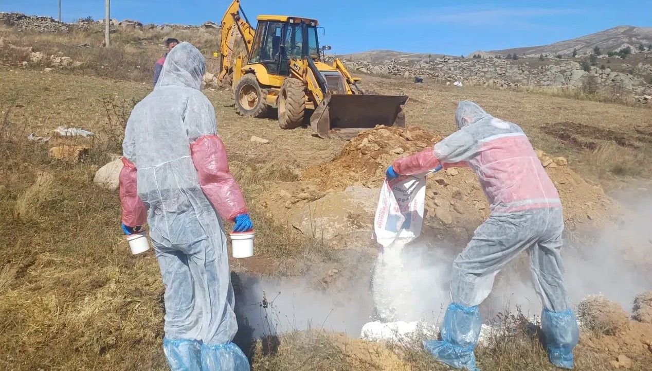 6 köye giriş çıkış yasaklandı: Bir ilde şarbon paniği