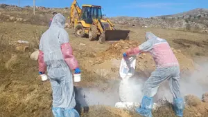 6 köye giriş çıkış yasaklandı: Bir ilde şarbon paniği