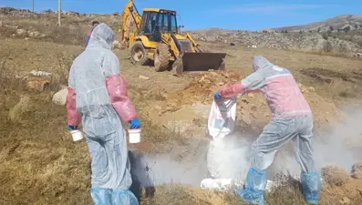 6 köye giriş çıkış yasaklandı: Bir ilde şarbon paniği