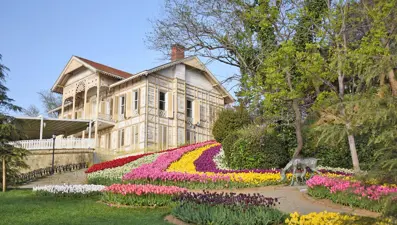 Emirgan Korusu'nda lale zamanı