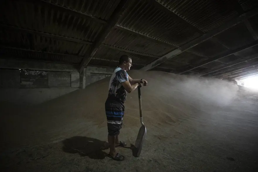 Tahıl gemilerinin limanlardan çıkışını bekleyen Ukraynalı çiftçilerden Türkiye'ye teşekkür 2