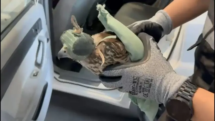 Sınırda operasyon: Yolcu koltuğunun altında bulundular 2