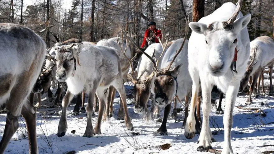 Moğolistan'da ıssızlığın ortasındaki bir avuç Türk: Duhalar 3