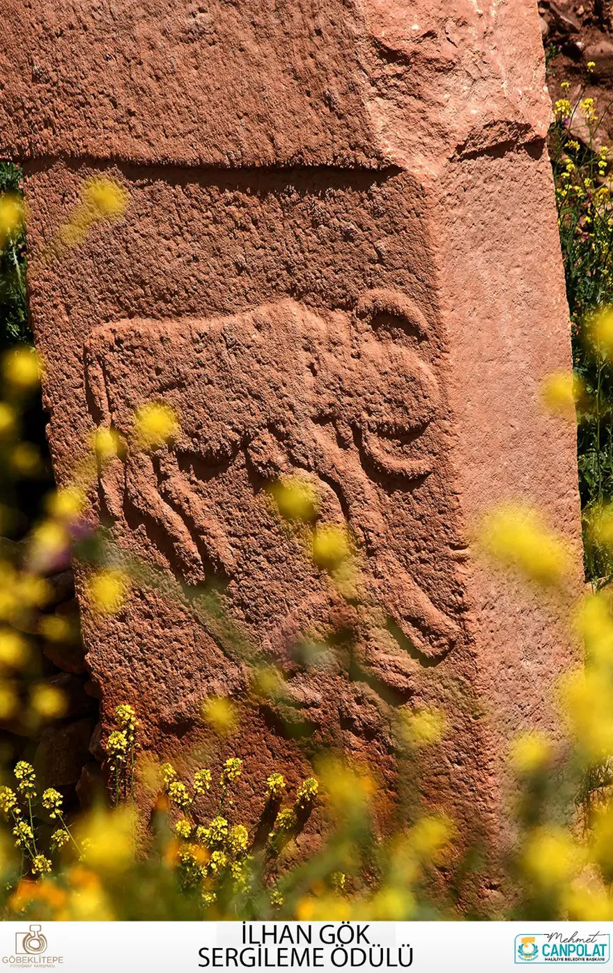 Göbeklitepe Fotoğraf Yarışması'nın kazananları belli oldu 18 Göbeklitepe Fotoğraf Yarışması'nın kazananları belli oldu 18