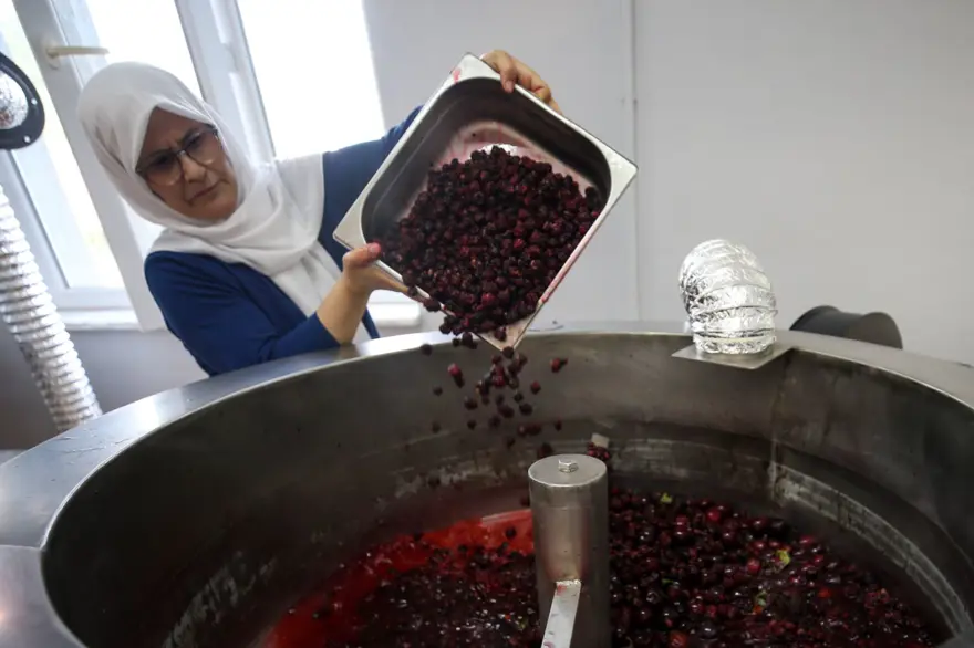 Kadın üreticiler devlet desteğiyle üretim kapasitesini artırdı 