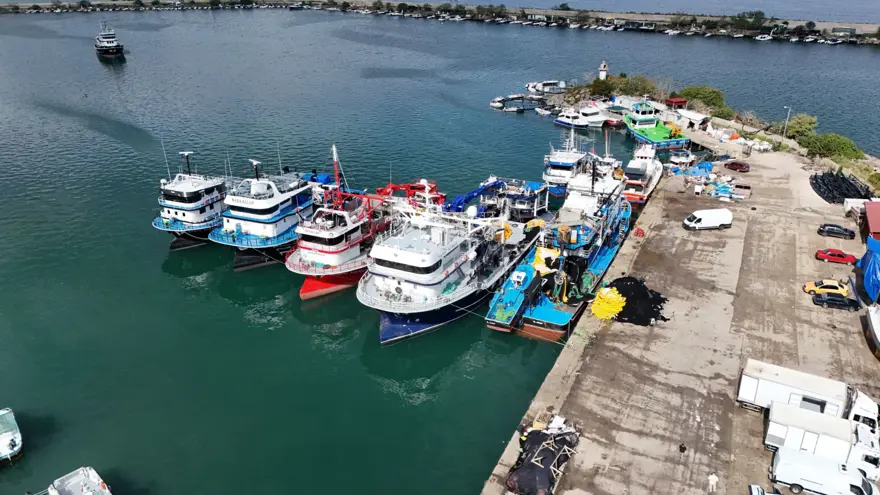 Balıkçıların yüzünü güldürdü: Tezgahta kilosu 150 lira 6 Balıkçıların yüzünü güldürdü: Tezgahta kilosu 150 lira 6