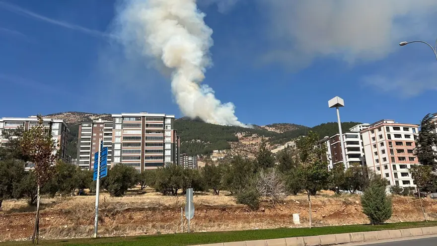 Kahramanmaraş'ta orman yangını 8