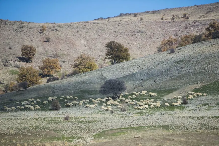 Tunceli'nin dağlarında kış, ovalarında sonbahar havası yaşanıyor 5 Tunceli'nin dağlarında kış, ovalarında sonbahar havası yaşanıyor 5