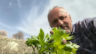 Türkiye'nin dört bir yanındaki dağları geziyor: Bitkilerin frekanslarını ölçüyor