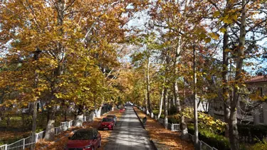 Karabük'te sonbahar güzelliği