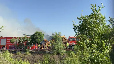 Adana'da ahşap panel üretim fabrikasında yangın