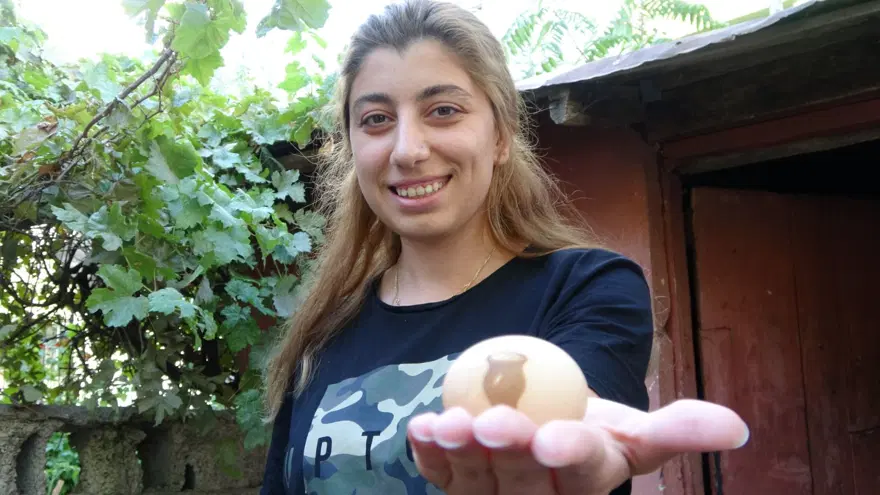 Vazo desenli yumurtaya ilgi 1