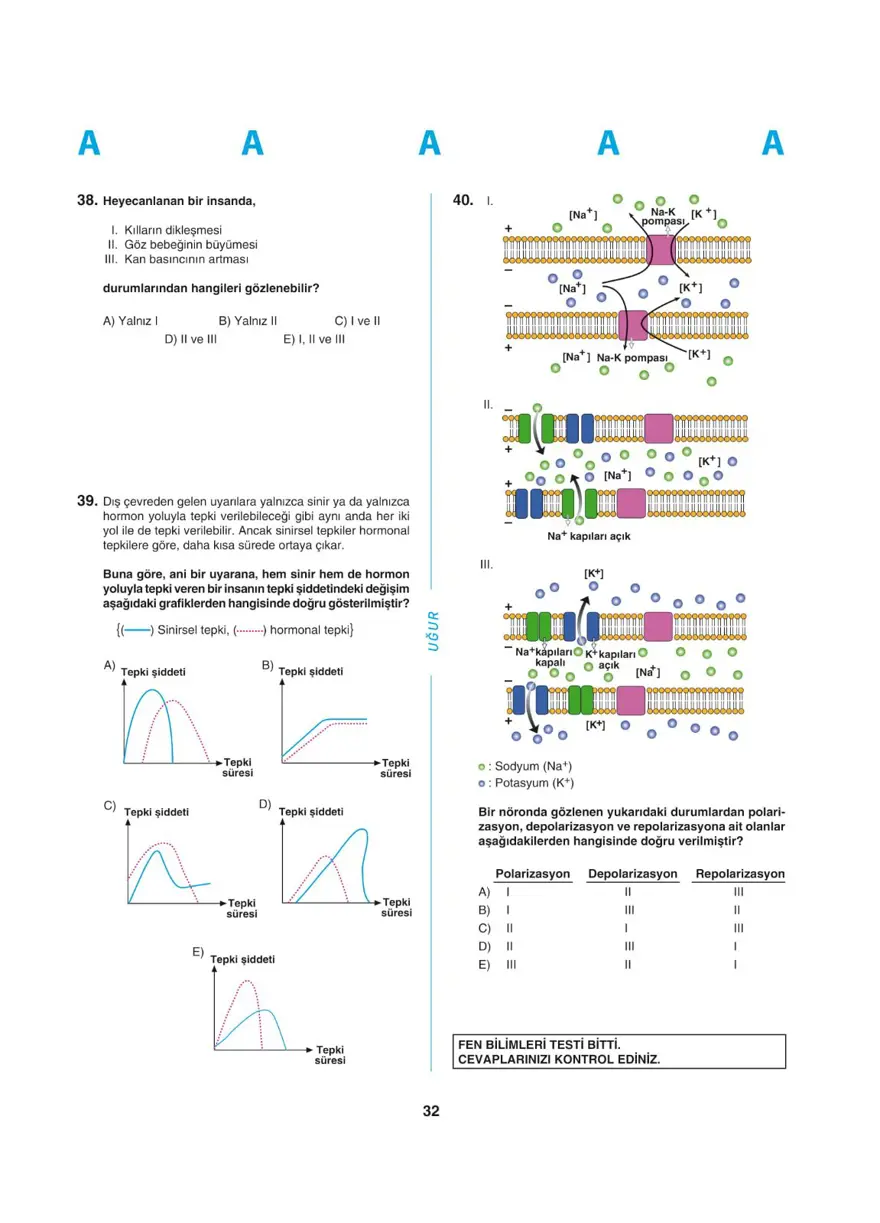 YKS - AYT deneme sınavı 31