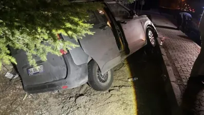 Malatya'da hafif ticari araç refüje çarptı