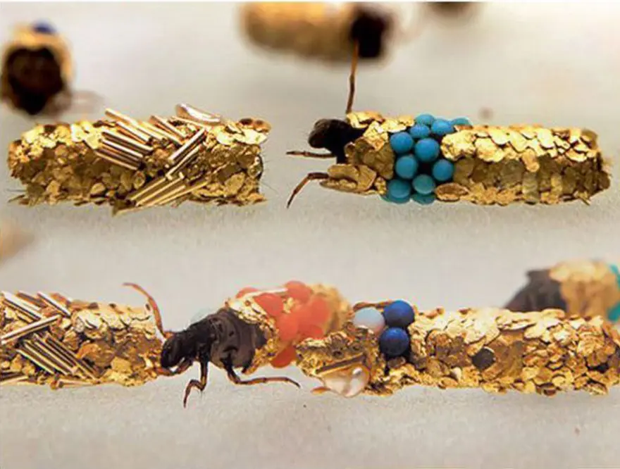 Caddis sineği 