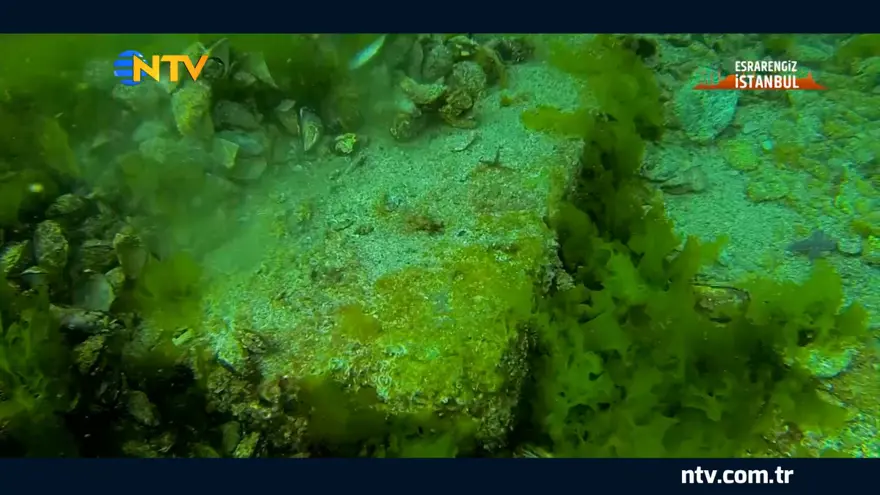 EsraGezginci İstanbul’un sırlarına kapı aralıyor: Yarımburgaz Mağarası ve Bathonea’dakibuluntular 18