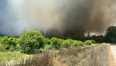 Muğla&#x27;da plastik atık deposunda çıkan yangın ormana sıçradı