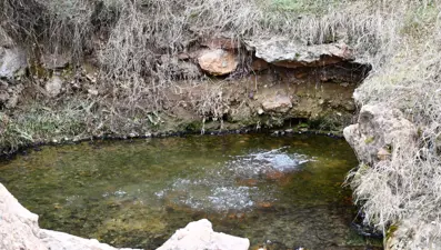 Her yıl yüzlerce insan bu suyla yıkanarak şifa arıyor: Egzamanın doğal çaresi