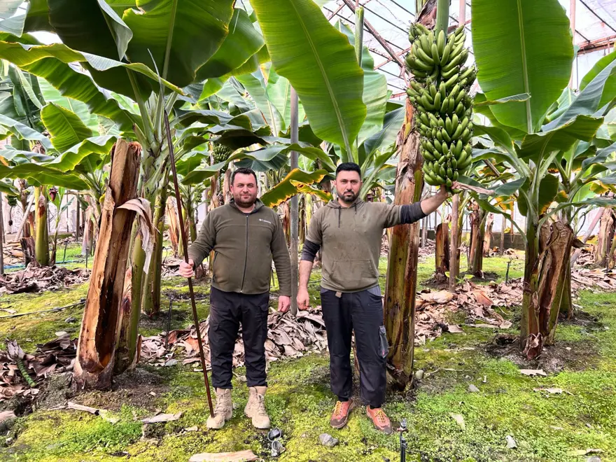 Kilosu 45 TL'den alıcı buluyor: Zirai don afeti etkilemişti 5