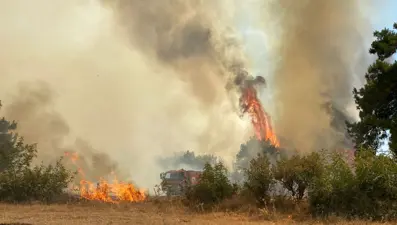 Çanakkale'deki orman yangını kontrol altında