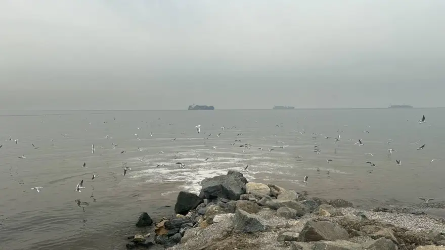 Beylikdüzü'nde kanalizasyon suyu denize aktı 7