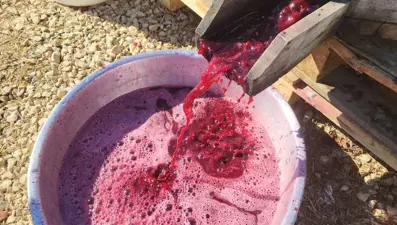 Kazanlarda 6 saat kaynatılıyor! Piyasada 1 litresi 400 TL: Adıyaman'dan Avrupa'ya ihraç ediliyor