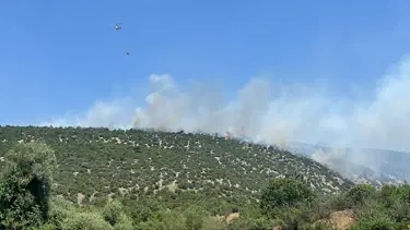 Balıkesir'de arazi yangını