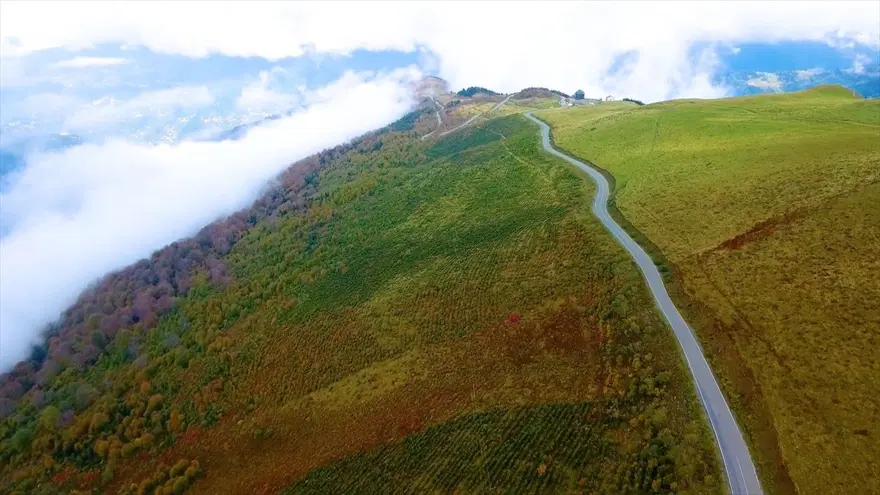 Karadeniz'de yolculuk yeşile dönüyor (Yeşil yol projesi) 