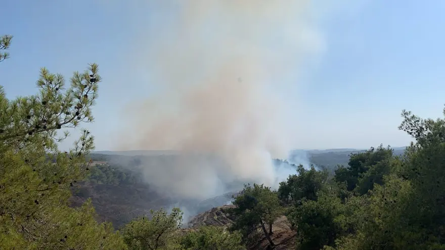 ADANA'DA ORMAN YANGINI 3