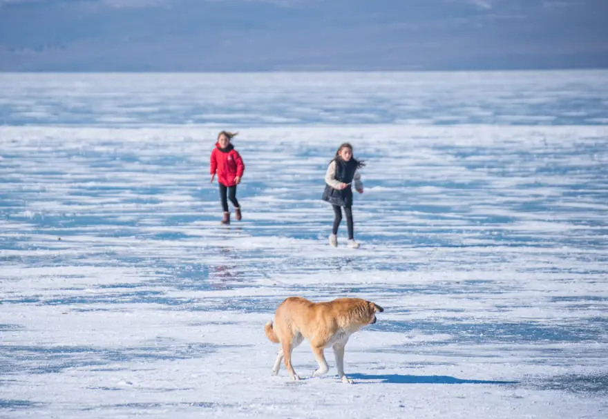Donan Çıldır Gölü'nde yürüyüş keyfi 4