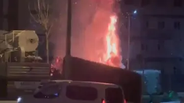 Çocuk parkında yangın paniği: Atılan torpil ağaçları yaktı