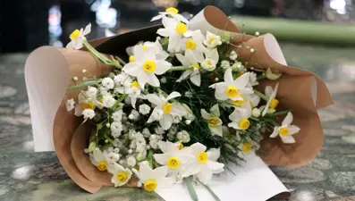 Akdeniz ve Ege'de yetişiyor: Antibiyotik görevi görüp yaralara iyi geldiği söyleniyor