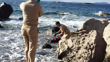 Minik sığınmacı Sena'nın sonu da Aylan gibi oldu