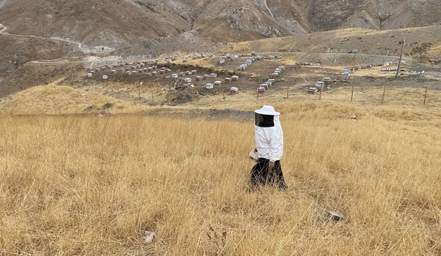 8 yıl önce başladı, 30'dan 300'e çıkardı: Şimdi 4 ton üretiyor 3