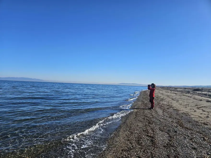 İstanbul’da 24 günönce kayboldular: Aşiyan’da denize düşen kardeşler için Çanakkale’de arama 1 İstanbul’da 24 günönce kayboldular: Aşiyan’da denize düşen kardeşler için Çanakkale’de arama 1
