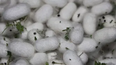 Elazığ tarihinin en büyüğünü kurdu: Onlarca yeni üreticiye ilham oldu