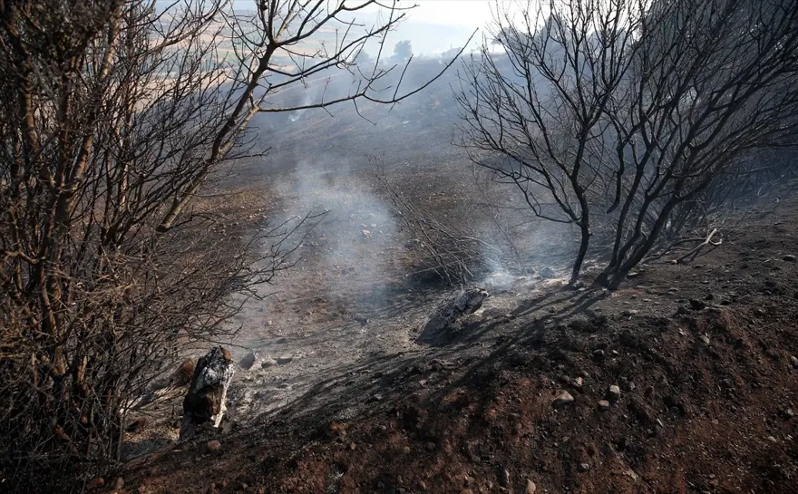 Çanakkale'deki orman yangını kontrol altına alındı 9