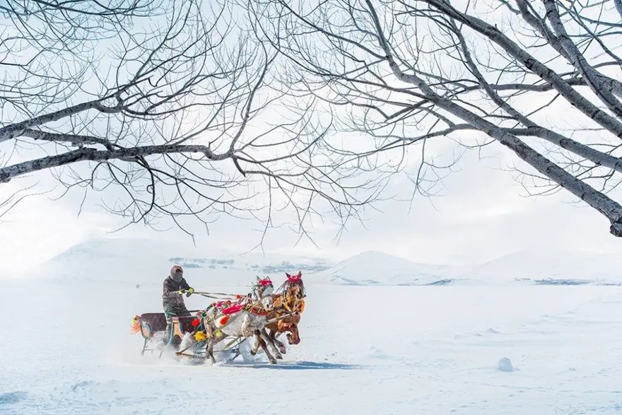 çıldır gölü, sarı sazan balığı, çıldır gölü buz tuttu mu, çıldır gölü atlı kızak, ardahan gezilecek yerler, kars çıldır gölü 3 çıldır gölü, sarı sazan balığı, çıldır gölü buz tuttu mu, çıldır gölü atlı kızak, ardahan gezilecek yerler, kars çıldır gölü 3