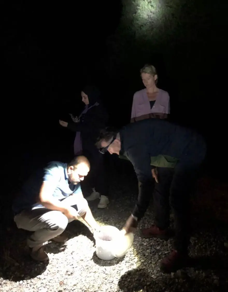 Yasa dışı gece kelebeği avına 380 bin TL ceza 