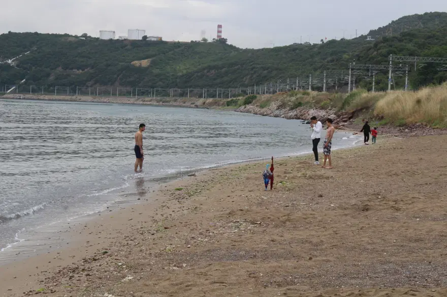 Kömür tozları yağmurla dereye aktı, İzmit Körfezi karardı 5