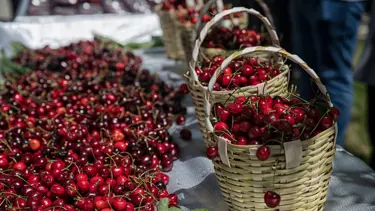 Temmuz ayında fiyatı en çok artan ürün belli oldu