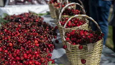 Temmuz ayında fiyatı en çok artan ürün belli oldu