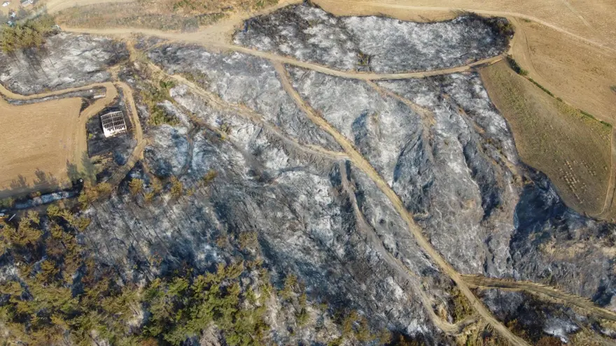 Çanakkale orman yangını kontrol altında: Yanan alanlar griye döndü 1