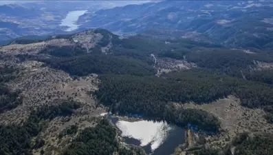 Ankara'da ormanlık alanlara giriş yasağı 30 Eylül'e kadar uzatıldı