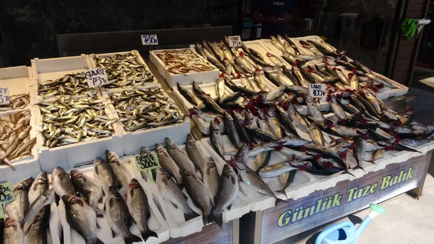 Av yasağı bitti, palamutun fiyatı düştü 4