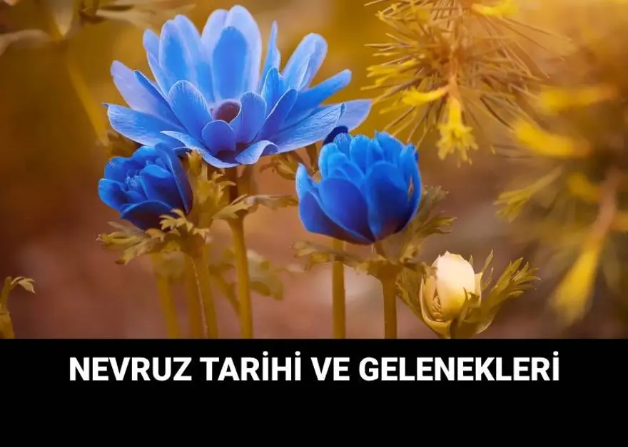 Nevruz Bayramı ne zaman, kimler tarafından kutlanır? Nevruz Bayramı gelenekleri Nevruz Bayramı ne zaman, kimler tarafından kutlanır? Nevruz Bayramı gelenekleri