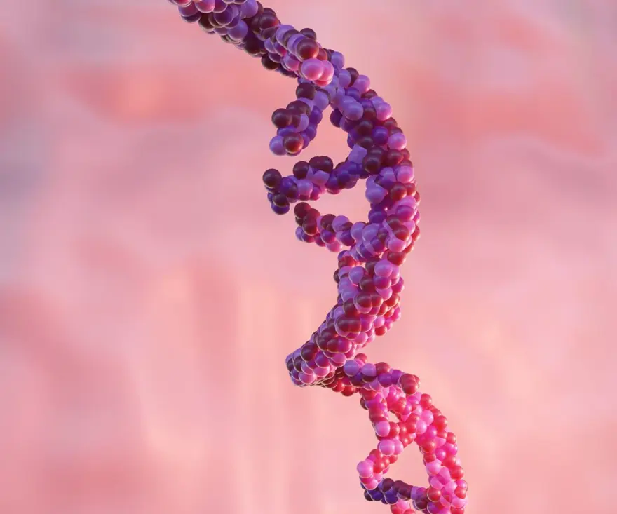 Kanser aşısına geri sayım başladı 5