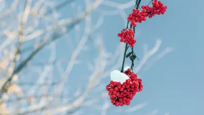 21 Aralık ne günü? 21 Aralık ekinoksunda neler olur? Kış gündönümü hakkında bilinenler