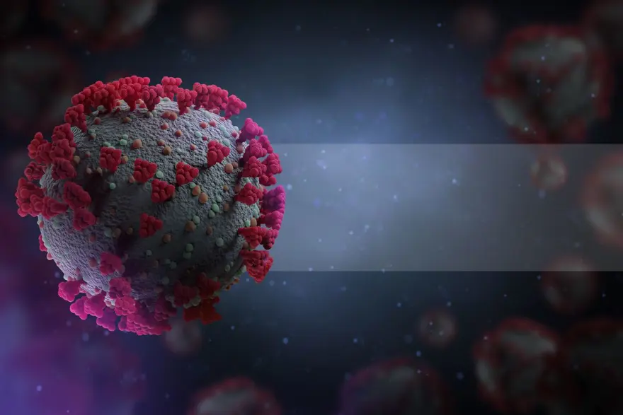 DSÖ’den yeni varyant açıklaması: Omicron’dan daha bulaşıcı ve daha yaygın hale gelecek 2